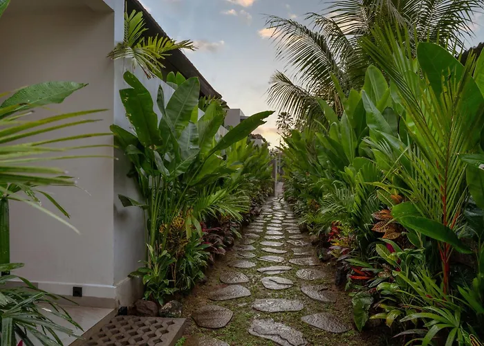 Nava Ubud